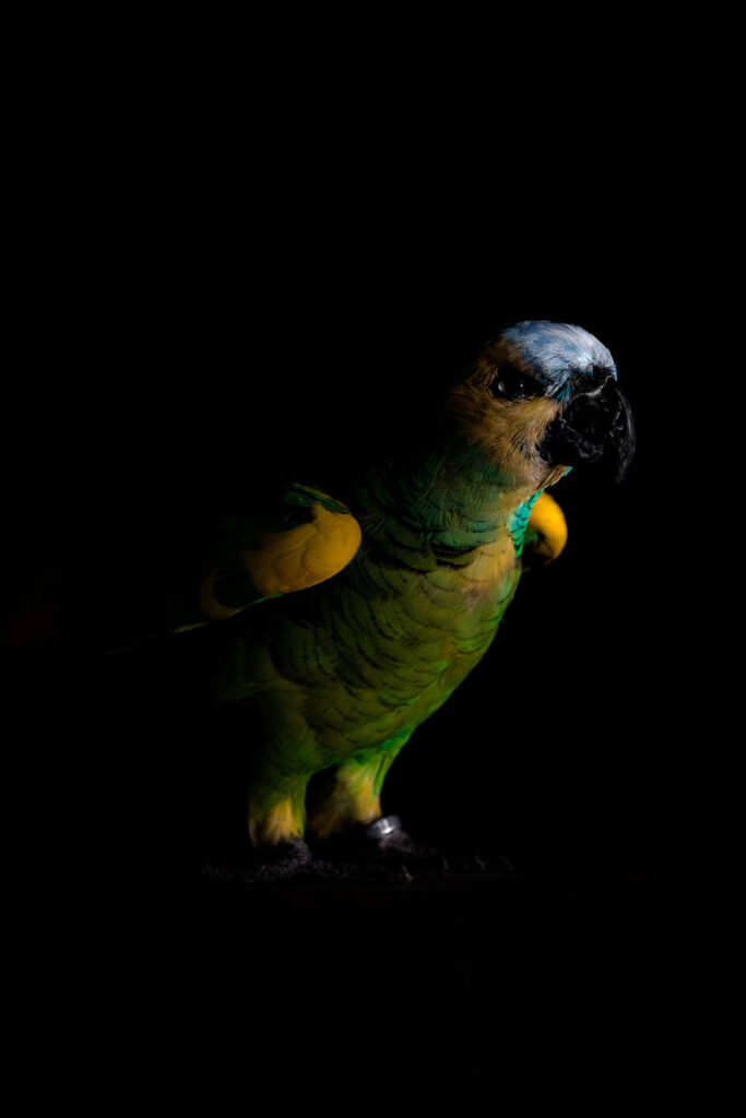 JDP_10_20x30