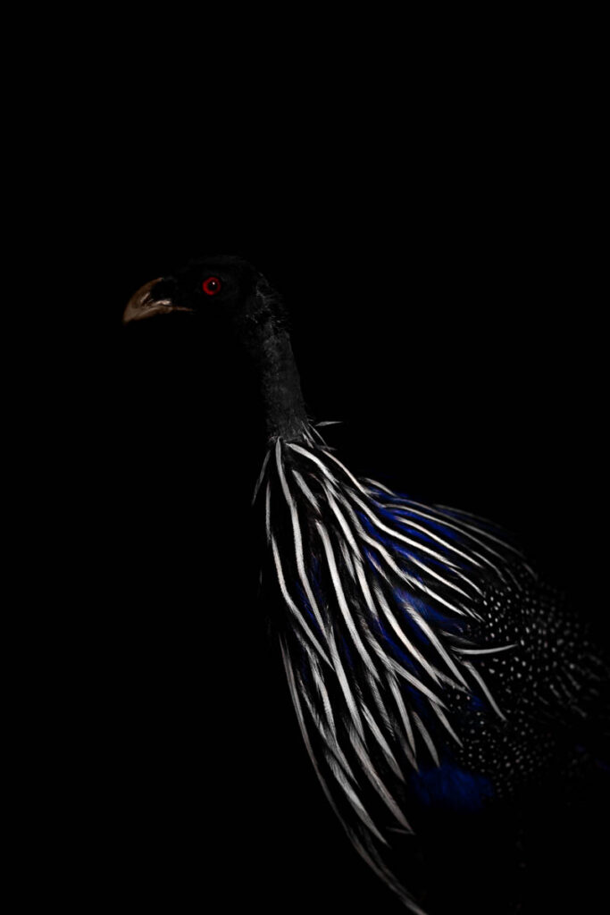 M&E_13_20x30