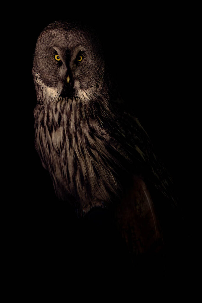 M&E_21_20x30